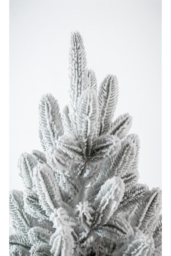 Елка литая Карпатская заснеженная в горшке 90 см