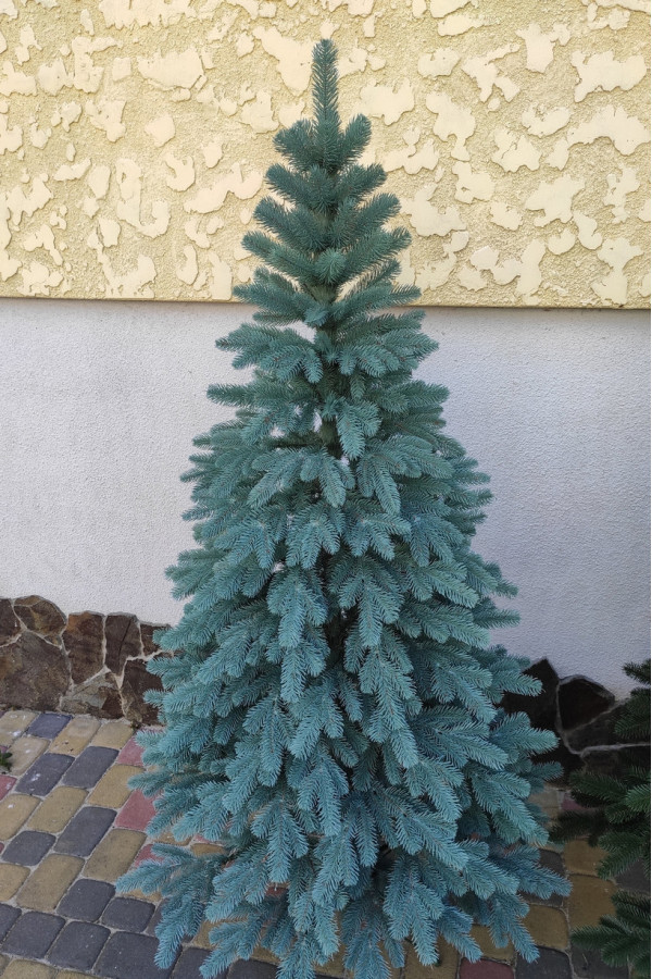 Литая искусственная голубая елка Vip Tree 230 см | Искусственная литая ель Литая искусственная голубая елка Vip Tree 230 см | Искусственная литая ель
